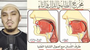 МАХРАДЖ ТО الطاء, ТА التاء, ДАЛЬ الدال | БУКВЫ КОНЧИКА ЯЗЫКА И ОСНОВАНИЯ ВЕРХНИХ ЗУБОВ