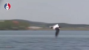 "Безопасность на воде"