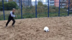 ФУТБОЛЬНЫЙ МЯЧ ИЗ ТУАЛЕТНОЙ БУМАГИ!