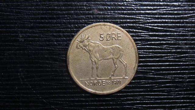 Всевозможные интересности про лосей!