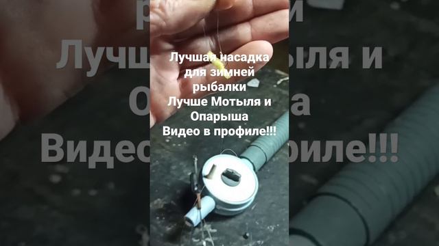 Лучшая насадка для зимней рыбалки