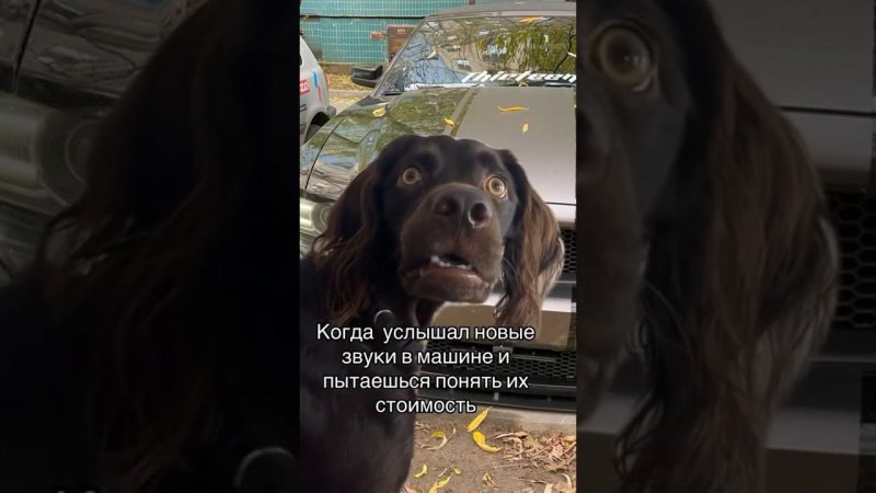 Было? Ставь