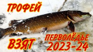Рыбалка по перволëдью 2023-24...Трофей ВЗЯТ..