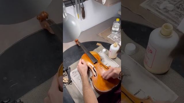Мастерская Дома Скрипки Scroll Fine Instruments: профессиональный уход за инструментом