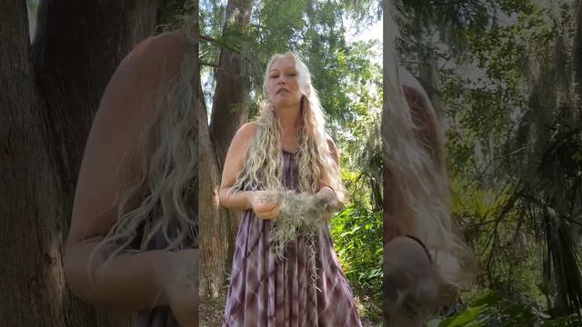 Spanish Moss смотреть онлайн