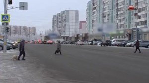 Новый глава СПОПАТ: Сургуту не хватает около сотни автобусов