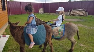 ЦИРКОВОЙ ОСЛИК ВАСЯ В ДЕРЕВНЕ