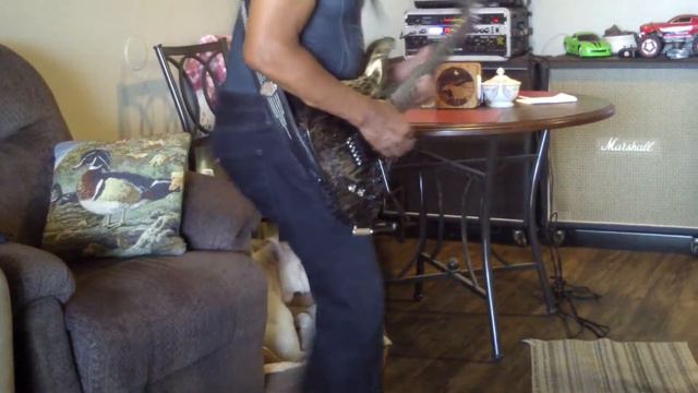 My Schecter Silver Mountain C1 F/R/S смотреть онлайн