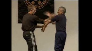 мастер Ип Чун, Вин Чун/master Ip Chun, Wing Chun