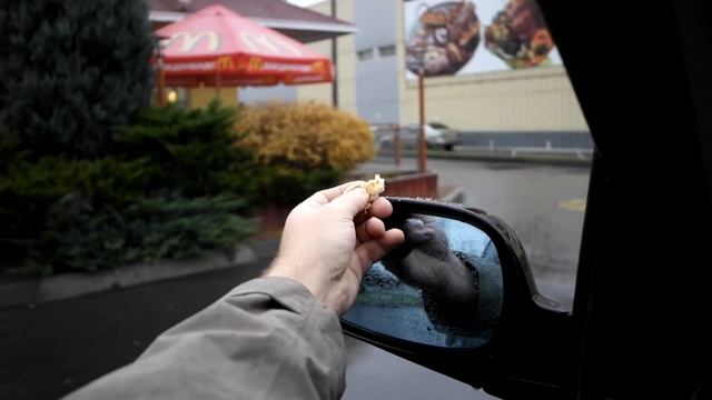 ручные воробьи смотреть онлайн