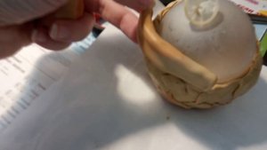 Горшочек из гипса