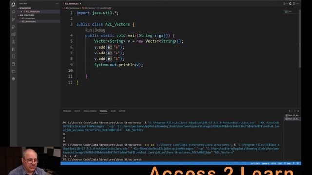 Java Data Structures - Module 02 Vectors