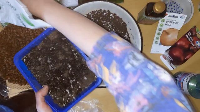 Успейте посадить и вырастить лук из семян ! смотреть онлайн