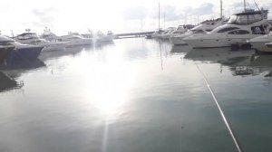 Рыбалка в порту Сочи. Ловля кефали на морского червя