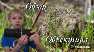 Обзор объектива Canon EF 75-300mm f/4-5.6 III USM