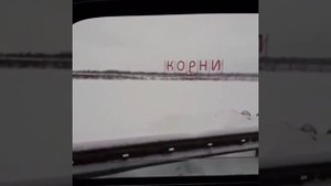Вера Корни!