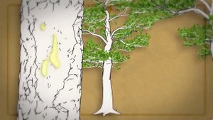 Процесс производства Рецины