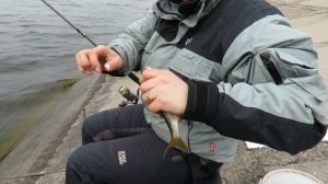 Воронеж Рыбодром просыпается тренировки на фидер начинаются