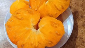 Минусинский оранжевый крупный