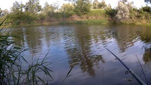 РЫБАЛКА НА ПОПЛАВОК В ИЮНЕ! ЛОВЛЯ КАРАСЯ НА ЧЕРВЯ НА Границе!