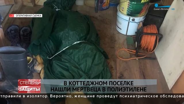 В коттеджном поселке нашли мертвеца в полиэтилене смотреть онлайн