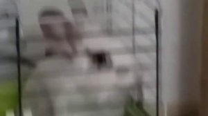 У кролика стресс