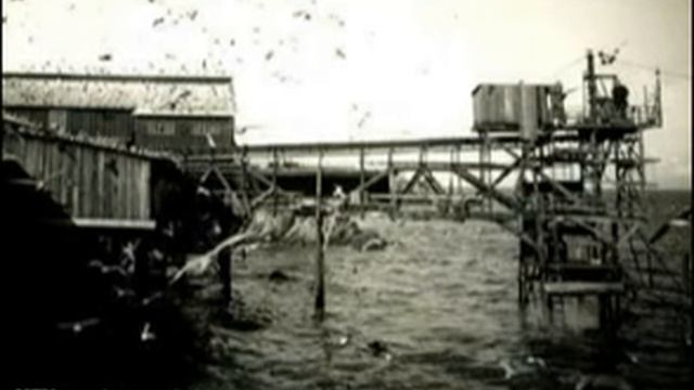 Cannery Row : Guitar Gibson Songwriter studio Deluxe and J40 tapped смотреть онлайн