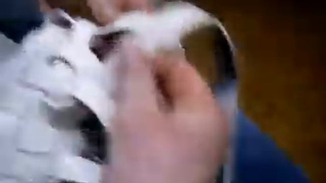 колодка линолеум четверик школа ученик смотреть онлайн