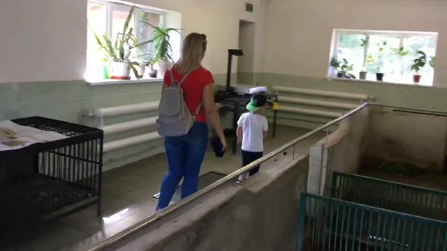 Воронежский Государственный Природный Биосферный Заповедник Имени В.М. ПЕСКОВА смотреть онлайн