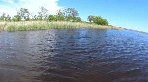 Как ловить щуку на мелководье, лиманы Краснодарского края. 140522