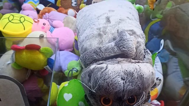 ОГРОМНЫЙ КОТ БАСИК в аппарате с игрушками ХВАТАЙ-КА / Достанем??? / crane machine game