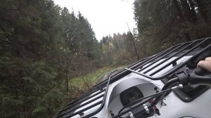 Сокол Трофи, первый выезд на вездеходе! Набрали целый кофр  опят! Дал порулить квадроцикл жене!