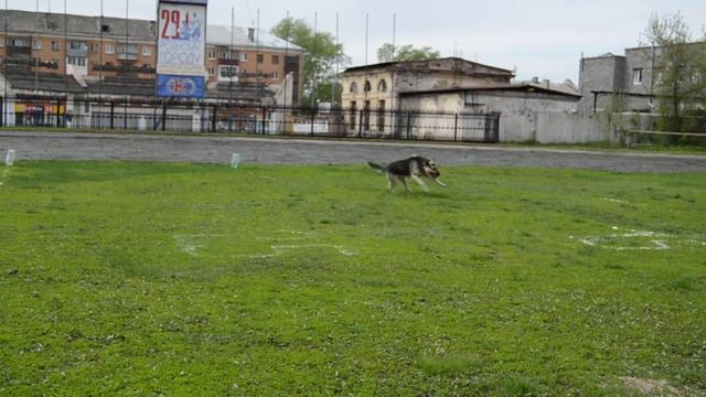 27 мая в Нижнем Тагиле смотреть онлайн