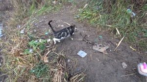 рыбалка в декабре на Кубани ловля карася на поплавок крупным планом