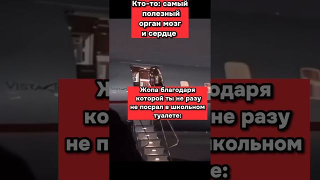 Самый полезный орган #рекомендации #рек #мемы #скала #жопа