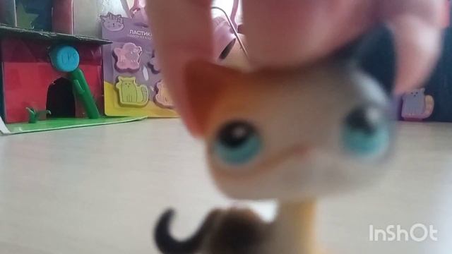 LPS с именами Котов Воителей смотреть онлайн