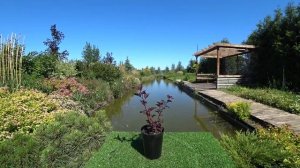 ТОП 5 ДЕКОРАТИВНЫХ ПУЗЫРЕПЛОДНИКОВ