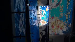 дельфинарий в Грозном новый год!