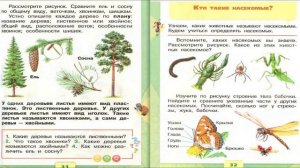 Что такое хвоинки? Окружающий мир. 1 класс, 1 часть. Учебник А. Плешаков стр. 30-31