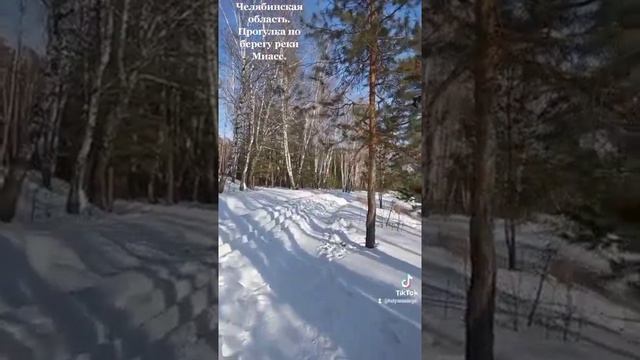 Зимняя прогулка по окрестностям села Долгодеревенское вдоль реки Миасс. "Тропа здоровья. "