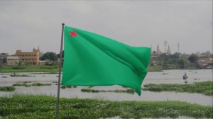 Флаг Народной Республики Бенин (1975-1990)