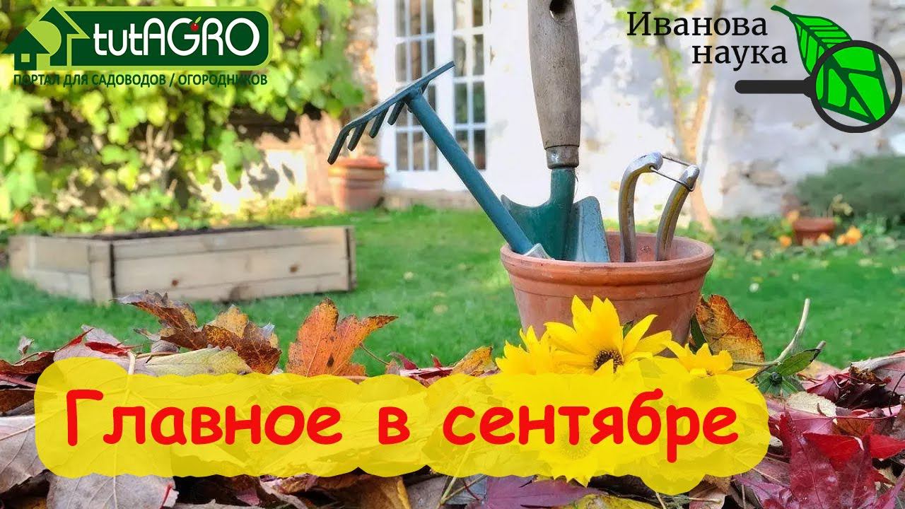 ВАЖНЫЕ РАБОТЫ В СЕНТЯБРЕ. Планируем время и силы эффективно, чтобы все успеть в саду и в огороде.
