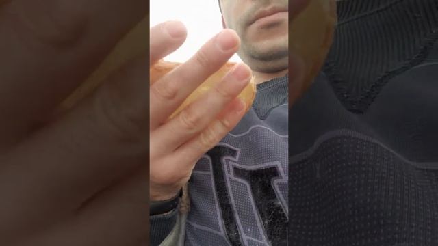 Приютил дикого голубя смотреть онлайн