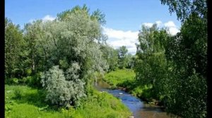 "КРУШИНА"? песня в исп.? Анастасии Жаткиной??