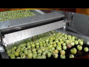 Мойка яблок (видео)