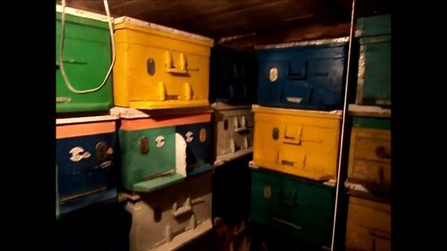 Зимовка в омшанике. Пасека. смотреть онлайн