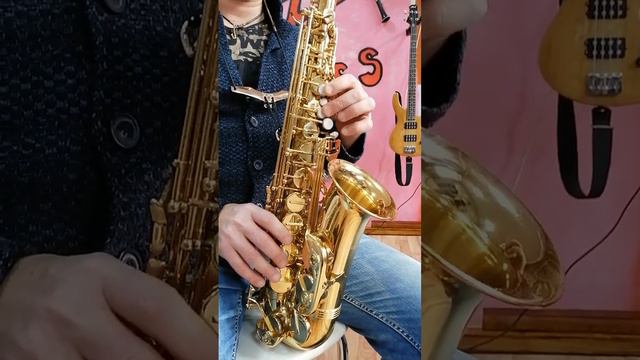 Alto Sax Trevor James Classic II