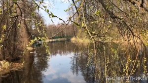 Воронежский бобронариум - аэросъёмка биосферного заповедника
