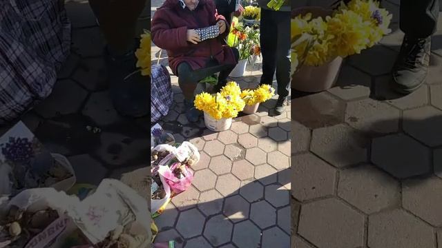 Запрошую до міста Жмеринка, квітковий ринок! 22 квітня 2023 р. смотреть онлайн