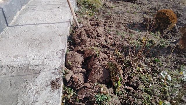 С утра зима,а днём весна.А по календарю ноябрь.#дача#огород#дачнаяжизнь#